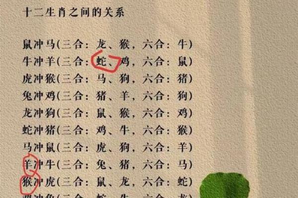避其锐气是什么生肖(避其锐气是什么生肖数字) 避其锐气是什么生肖(避其锐气是什么生肖数字)