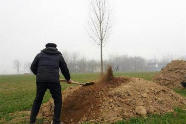 坟地动土有何讲究(坟地动土有何讲究方向) 坟地动土有何讲究(坟地动土有何讲究方向)