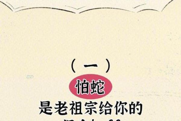 毛骨悚然的动物是什么生肖(毛骨悚然.在十二生肖里指那个肖)