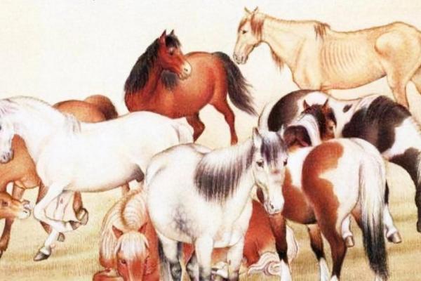 志在四方指什么生肖(志在四方指什么生肖动物) 志在四方指什么生肖(志在四方指什么生肖动物)