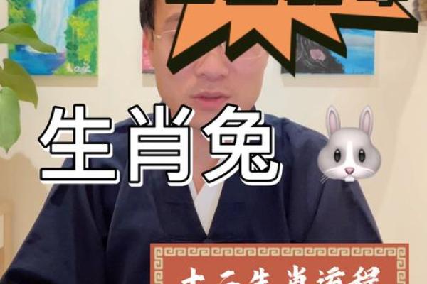 1988年2月1日属龙还是属兔_1988年2月1日生肖谜题农历腊月生人属龙还是属兔