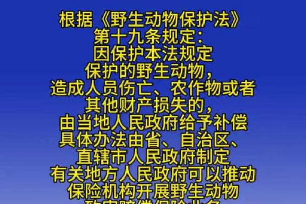 先锋保国卫家园是什么生肖(山林无虎是老大先锋保国卫家园是什么生肖) 先锋保国卫家园是什么生肖(山林无虎是老大先锋保国卫家园是什么生肖)