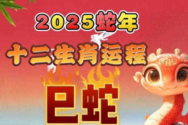 2025年生肖蛇运势_2025蛇年运势全解析生肖蛇逐月运程指南