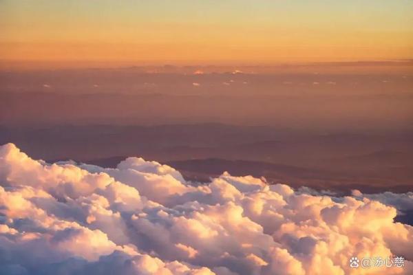 四海扬帆打一个生肖(1630四海扬帆) 四海扬帆打一个生肖(1630四海扬帆)