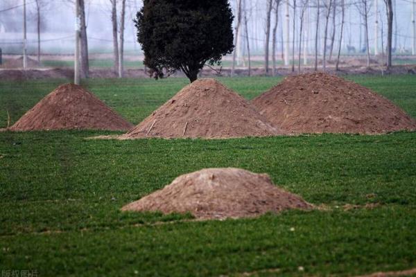 坟地周围多少米不能动土(坟周围多少米有坑影响风水) 坟地周围多少米不能动土(坟周围多少米有坑影响风水)