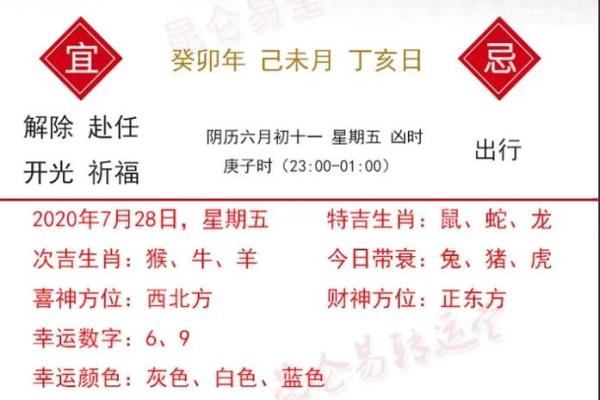 2025年兔年运势详解财运事业爱情全解析