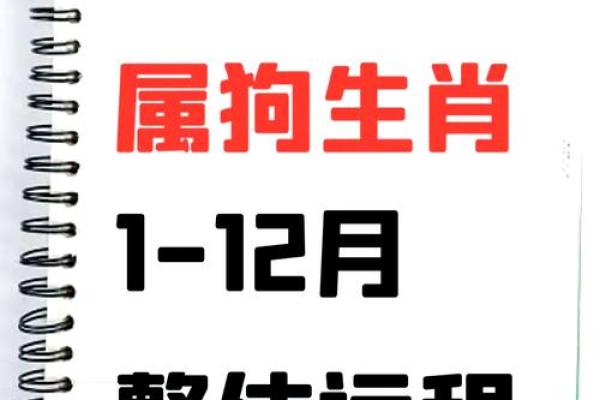 94年属狗2025年运势 2025年属狗运势详解94年出生者全年运程预测 94年属狗2025年运势 2025年属狗运势详解94年出生者全年运程预测