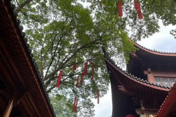 去哪里求姻缘最灵验_最灵验的求姻缘圣地推荐去哪里求姻缘最有效 去哪里求姻缘最灵验_最灵验的求姻缘圣地推荐去哪里求姻缘最有效