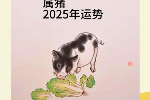 1995年属猪人2025年运势 1995年属猪人2025年运势详解财运事业双丰收 1995年属猪人2025年运势 1995年属猪人2025年运势详解财运事业双丰收
