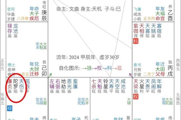 夫妻化忌入官禄_夫妻化忌入官禄冲夫妻 夫妻化忌入官禄_夫妻化忌入官禄冲夫妻