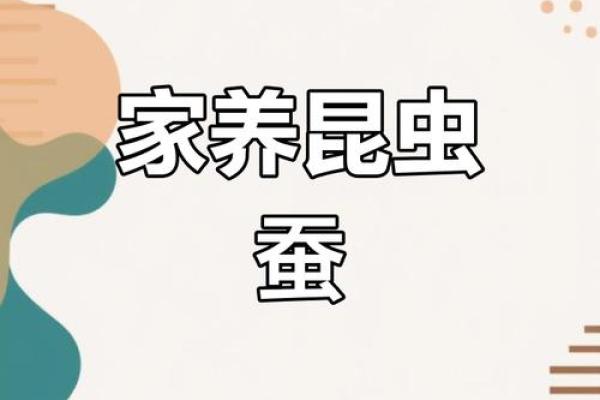 春蚕抽丝是什么生肖(春蚕抽丝是成语吗) 春蚕抽丝是什么生肖(春蚕抽丝是成语吗)