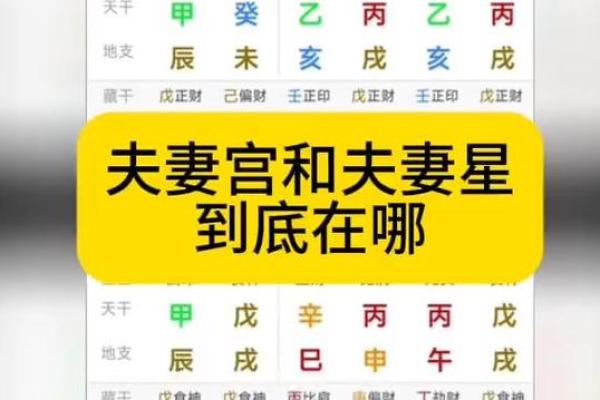 夫妻宫位置图解精准定位与详细解析 夫妻宫位置图解精准定位与详细解析