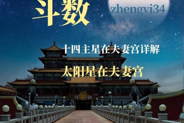 夫妻宫揭秘如何从命盘看配偶特征与婚姻运势 夫妻宫揭秘如何从命盘看配偶特征与婚姻运势