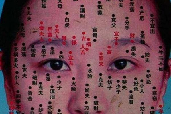 夫妻宫位置 夫妻宫位置图片 夫妻宫位置 夫妻宫位置图片