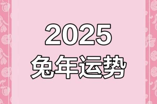 属兔2025年的多大_2025年属兔人年龄揭秘你今年多大 属兔2025年的多大_2025年属兔人年龄揭秘你今年多大