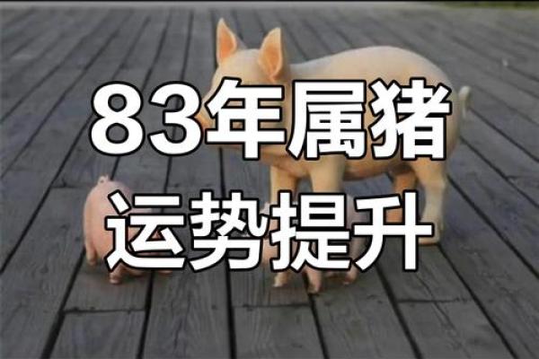 2025年属猪人运城运势解析83年出生者运程全揭秘 2025年属猪人运城运势解析83年出生者运程全揭秘