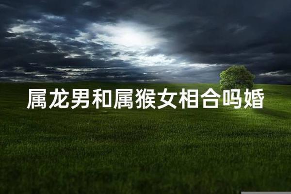 属龙跟属猴的姻缘怎么样_七月龙猴姻缘解析属相婚配是否相合 属龙跟属猴的姻缘怎么样_七月龙猴姻缘解析属相婚配是否相合