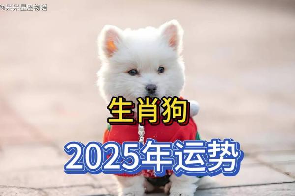 九四年狗2025年运势_九四年二零二零年属狗人运势