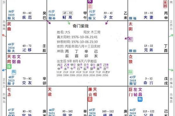 2025年3月22日子时男命紫微斗数全解盘