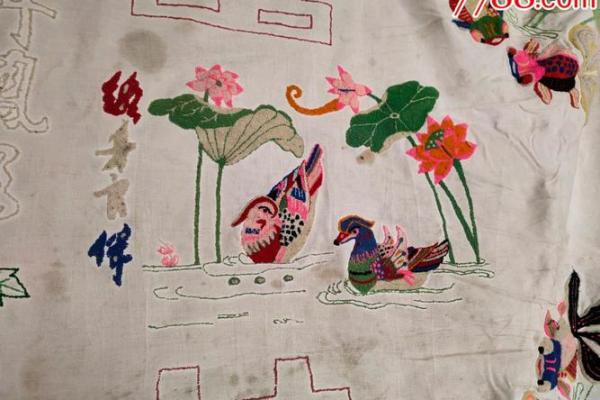 鱼水之情猜一生肖(鱼水之情猜一生肖最佳)