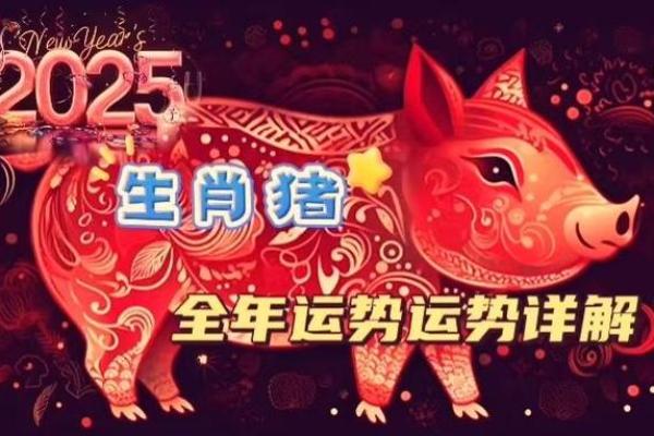 83年属猪2025年运势解析必有一难如何化解 83年属猪2025年运势解析必有一难如何化解