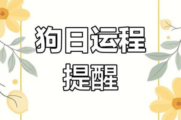 狗在2025年的运势如何_25年的狗运程 狗在2025年的运势如何_25年的狗运程