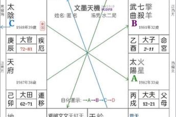 2025年3月1日子时女命紫微斗数全解盘 2025年3月1日子时女命紫微斗数全解盘