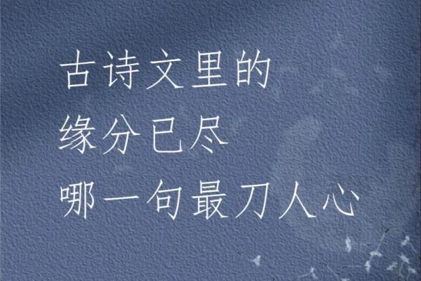 有缘分的诗句 说有缘分的诗 有缘分的诗句 说有缘分的诗