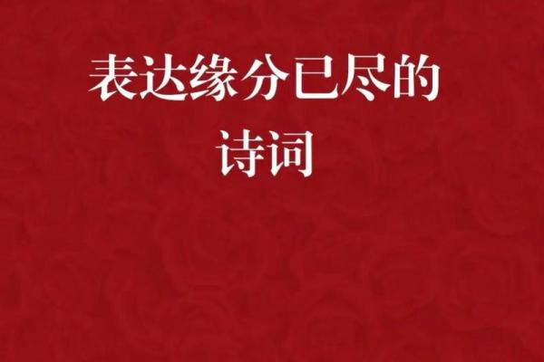 有缘分的诗句 说有缘分的诗 有缘分的诗句 说有缘分的诗