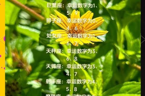 2025年4月5日处女座今日运势如何女 2025年4月5日处女座今日运势如何女