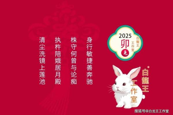 2025属兔全年运势及每月运势_2025属兔全年运势详解及每月运势预测 2025属兔全年运势及每月运势_2025属兔全年运势详解及每月运势预测