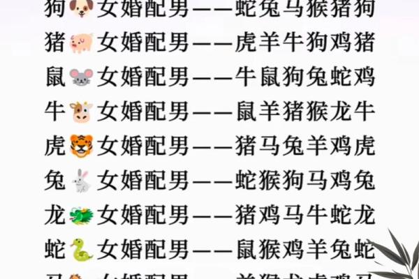 属兔女人最佳婚配 属兔女最佳婚配 属兔女人最佳婚配 属兔女最佳婚配