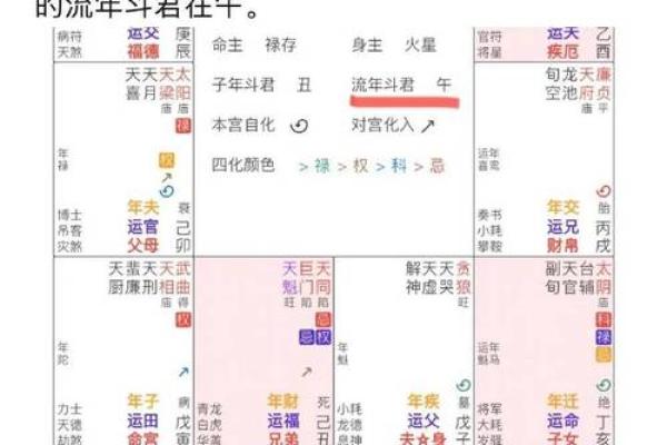 2025年2月17日丑时女命紫微斗数全解盘 2025年2月17日丑时女命紫微斗数全解盘