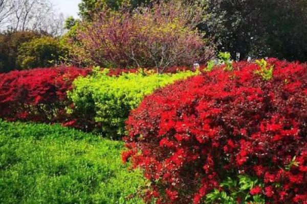 2020的图片 2020的图片