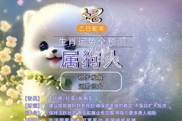 2025年属狗人年龄揭秘几岁运势如何 2025年属狗人年龄揭秘几岁运势如何
