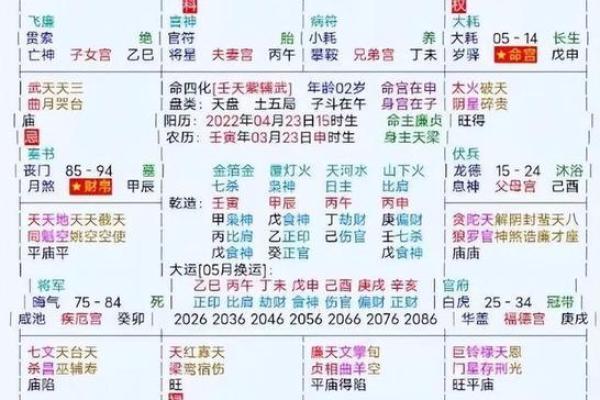 2025年3月6日子时女命紫微斗数全解盘