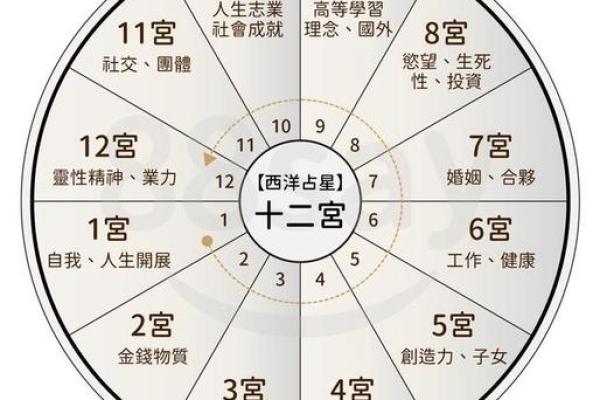 生辰八字在线查询_生辰八字在线查询快速了解你的命运密码 生辰八字在线查询_生辰八字在线查询快速了解你的命运密码