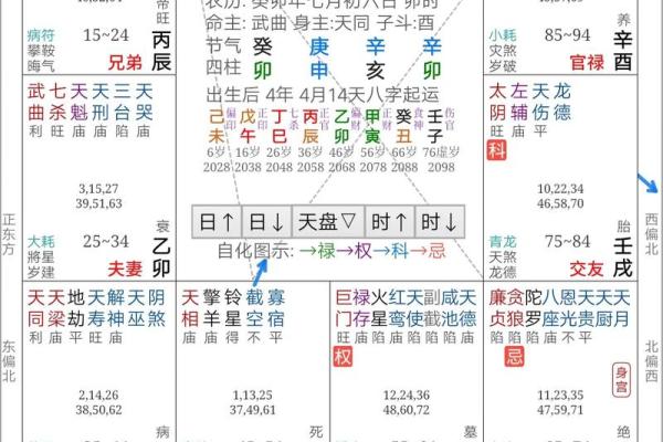 2025年2月19日卯时男命紫微斗数全解盘 2025年2月19日卯时男命紫微斗数全解盘