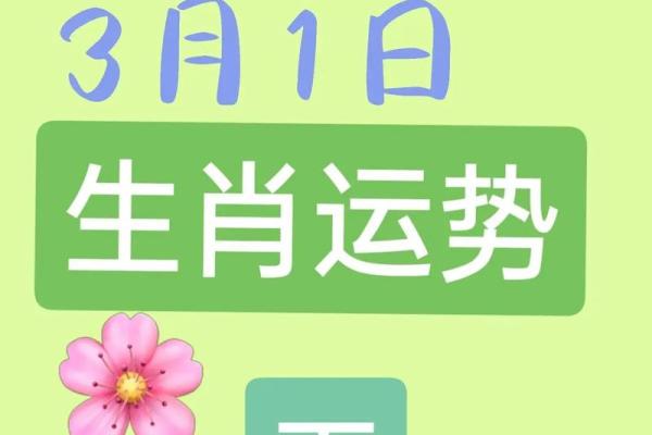 属羊的今天的财运运势_属羊的今天财运指数 属羊的今天的财运运势_属羊的今天财运指数