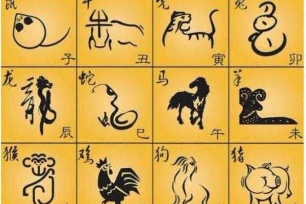 艺高胆大是什么生肖 艺高胆大是什么生肖