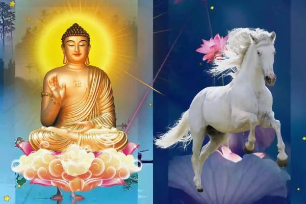 属马的今年多大了岁数表1978_2023属马年龄对照表1978年出生今年多大一表看懂 属马的今年多大了岁数表1978_2023属马年龄对照表1978年出生今年多大一表看懂