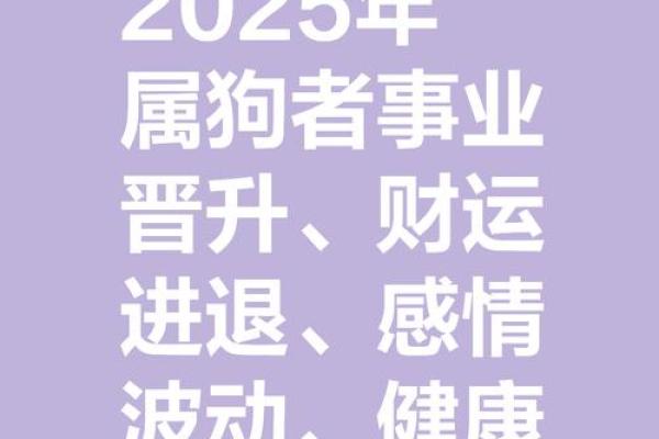 1982年属狗2025年生肖运程_1982年属狗2025年运势解析生肖运程全揭秘 1982年属狗2025年生肖运程_1982年属狗2025年运势解析生肖运程全揭秘