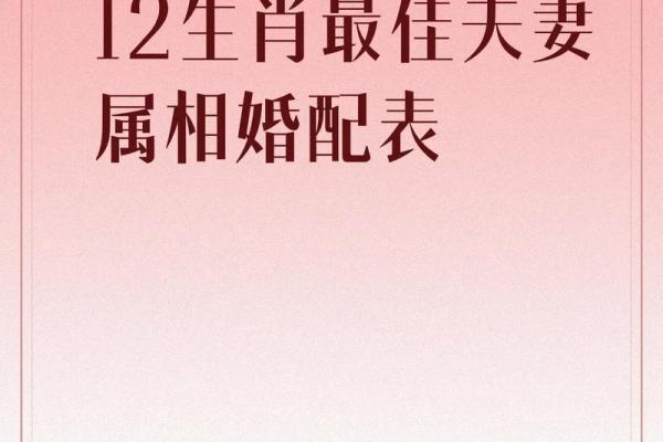99年属兔人最佳婚配属相大揭秘 99年属兔人最佳婚配属相大揭秘