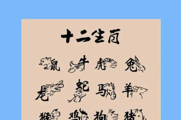 见异思迁比喻什么生肖 见异思迁比喻什么生肖