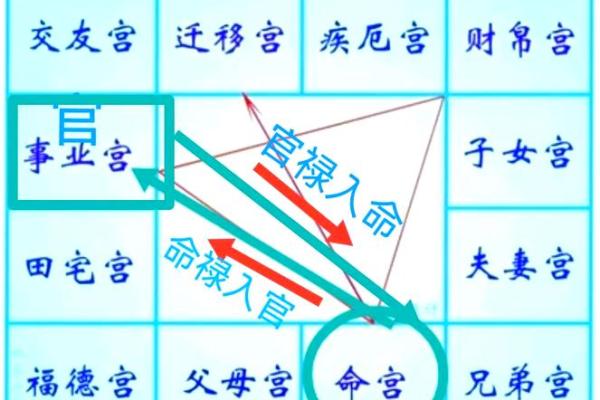 2025年2月23日寅时女命紫微斗数全解盘