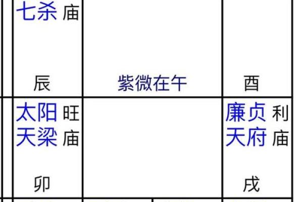2025年2月23日寅时女命紫微斗数全解盘 2025年2月23日寅时女命紫微斗数全解盘