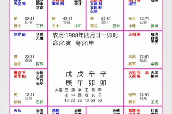 2025年3月18日丑时女命紫微斗数全解盘 2025年3月18日丑时女命紫微斗数全解盘