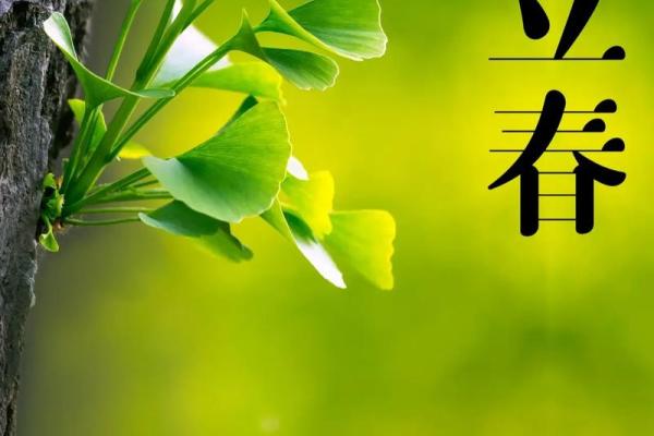 2022年几点立春时间 2022年几点立春时间