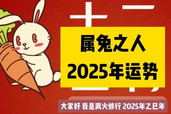 2025年属兔人全年运势完整版_2025年属兔人全年运势 2025年属兔人全年运势完整版_2025年属兔人全年运势