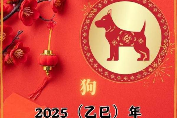 2025年属狗的人适合戴什么首饰_2025属狗人最旺的颜色 2025年属狗的人适合戴什么首饰_2025属狗人最旺的颜色